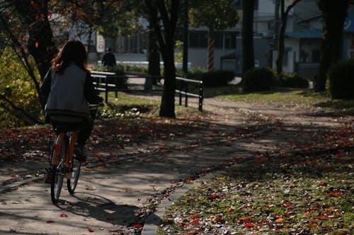 Free stock photo of park, riding, woman