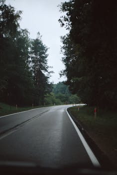 Wet asphalt road curving through lush, dense forest on a cloudy day.