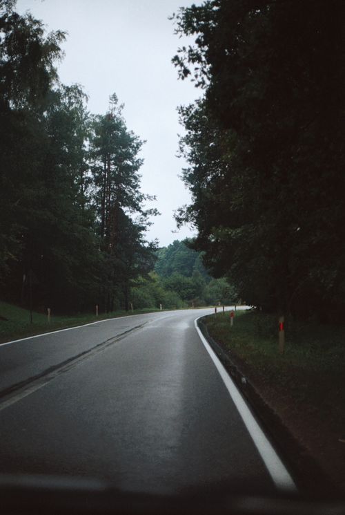 Free Wet asphalt road curving through lush, dense forest on a cloudy day. Stock Photo