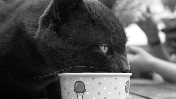 Heure du goûter