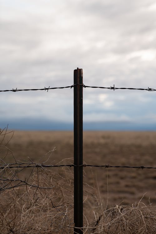 Symmetrical Photo of a Barbed Wire Fence in a Field, and Overcast
