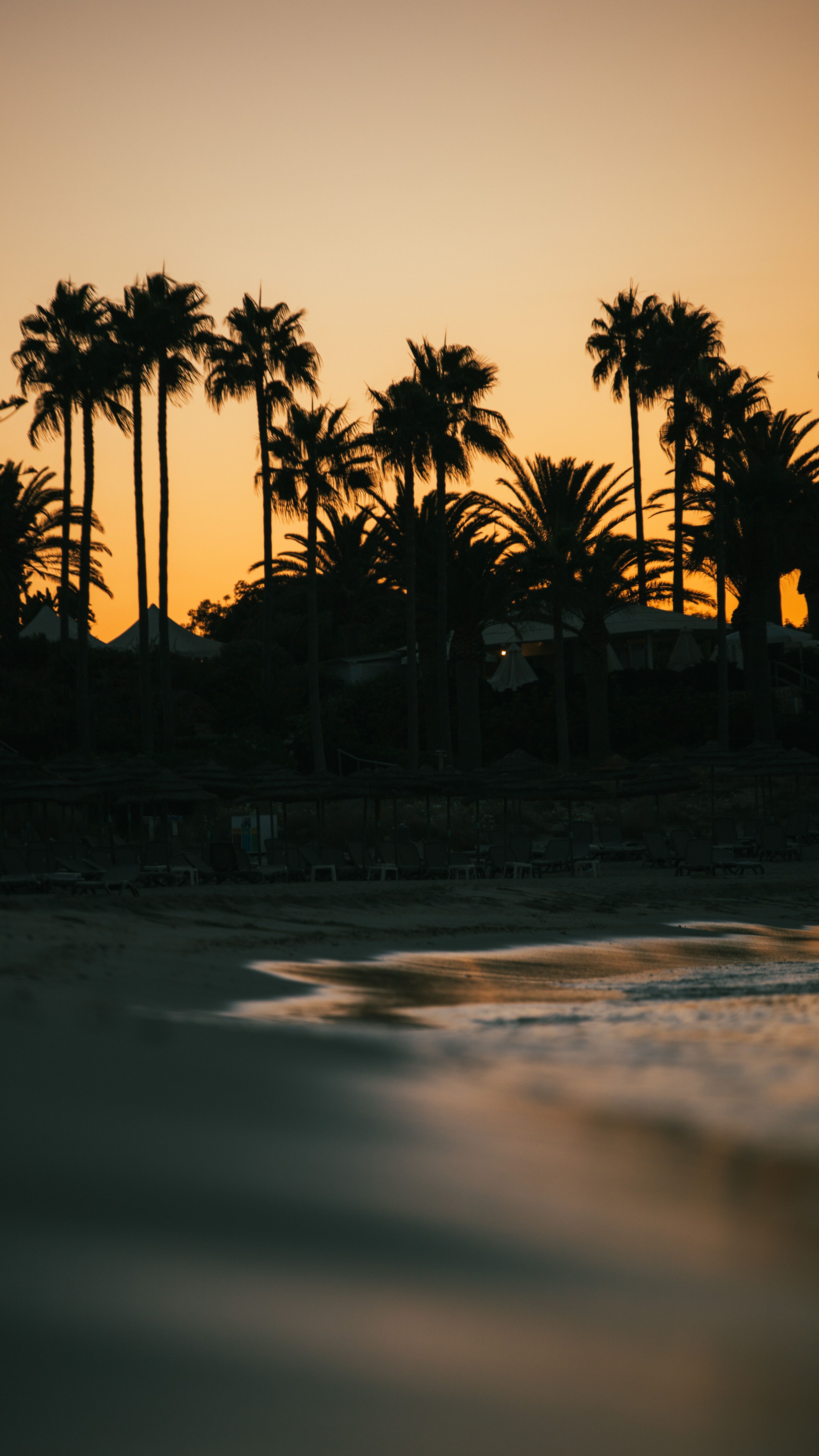 Peaceful tropical beach view at sunset with palm tree silhouettes against a colorful sky.