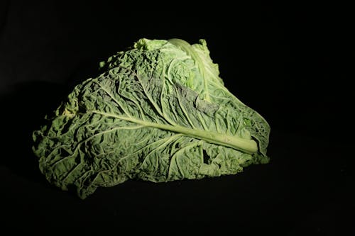 Free stock photo of lettuce, studio