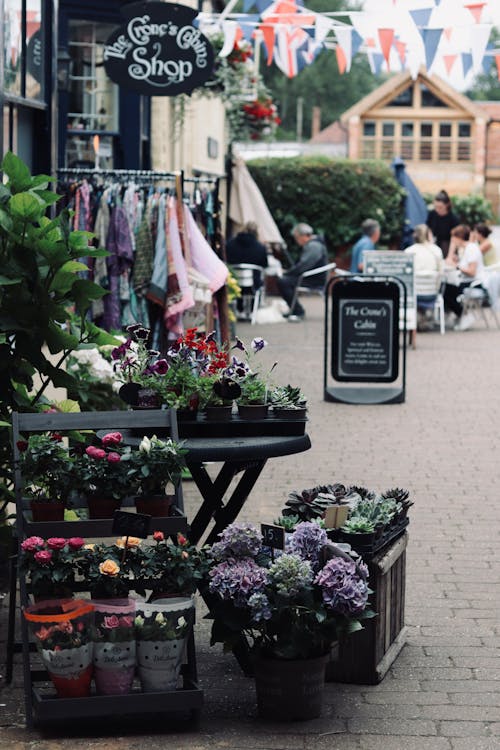 Immagine gratuita di città, esterno, fiori