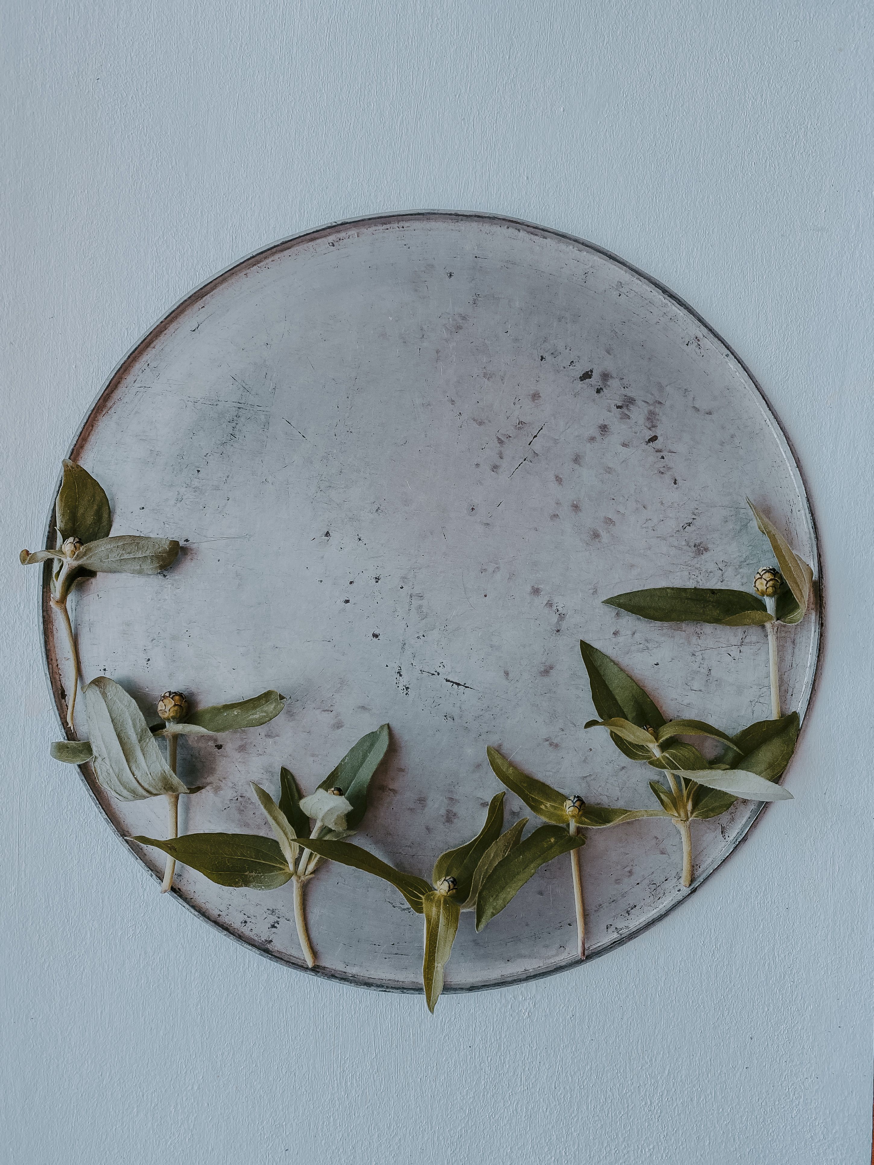 A rustic metal plate with greenery artfully placed against a white background, captured in a minimalist style.