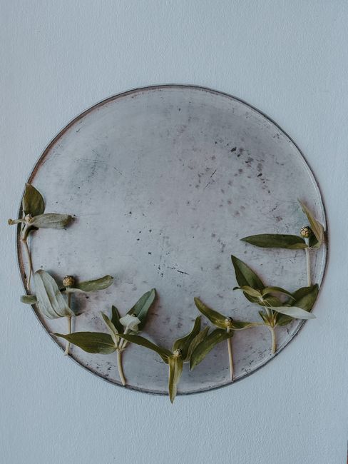 A rustic metal plate with greenery artfully placed against a white background, captured in a minimalist style.