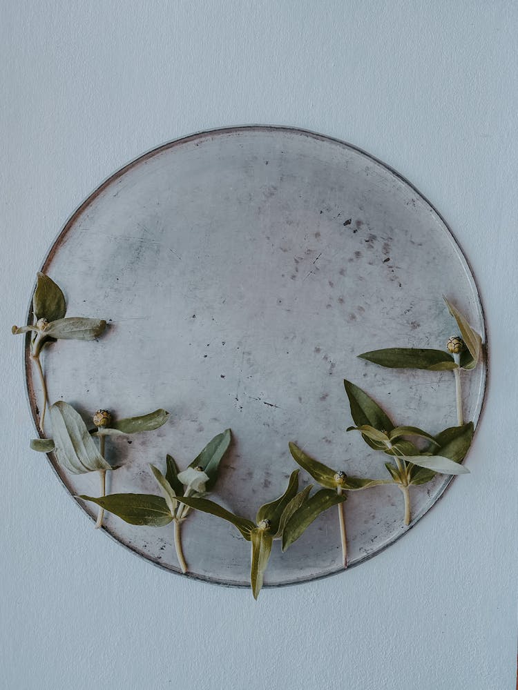 Leaves On Circular Plate