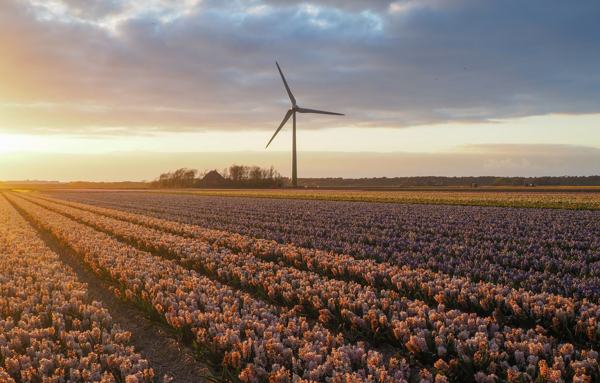 Bedrijven koersen af op 2090 voor net zero, niet 2050