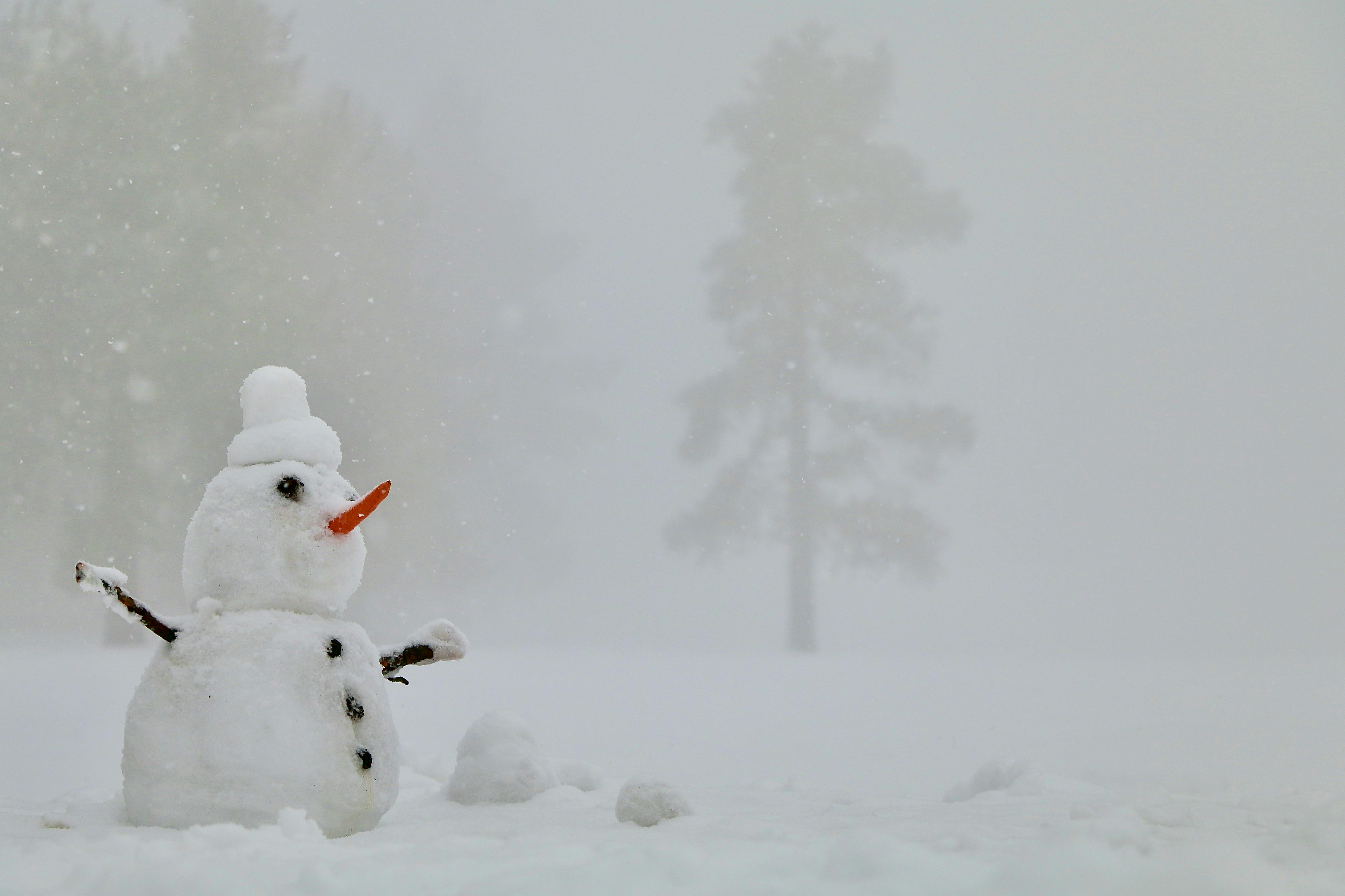 A Snowman on the Field · Free Stock Photo