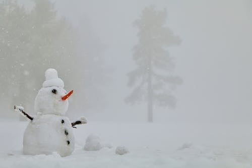 A Snowman on the Field