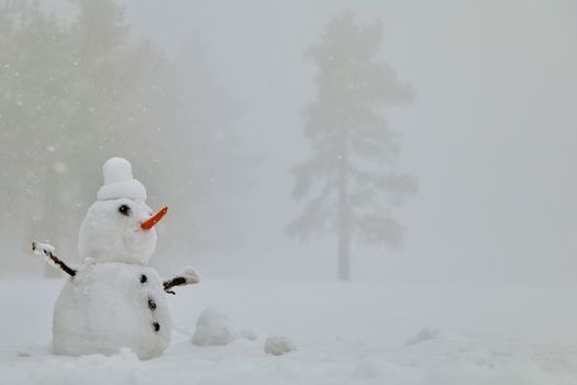 A joyful snowman stands in a snow-covered field, embracing the wintry weather.