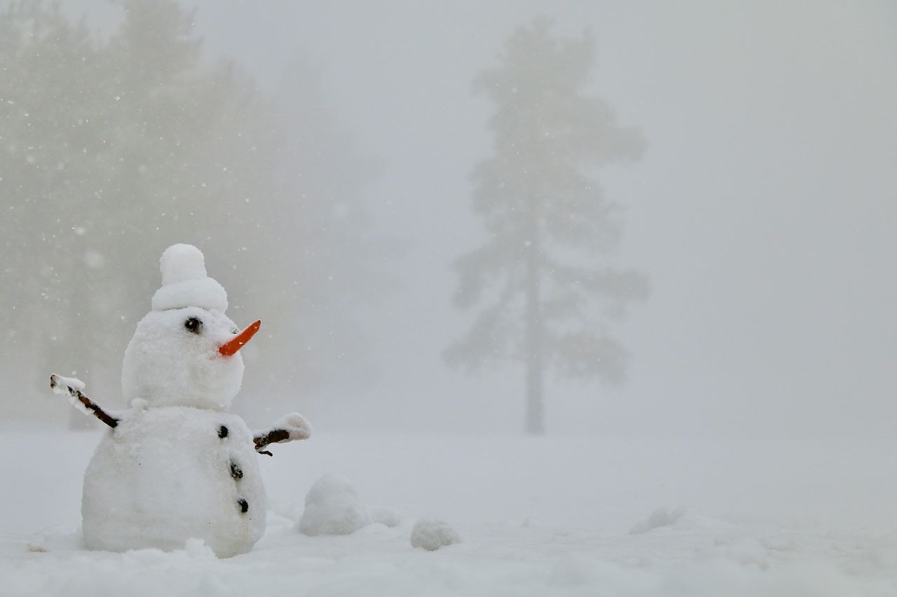 a joyful snowman stands in a snow covered field embracing the wintry w