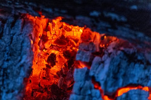 Close-up Photo Of Firewood Burning