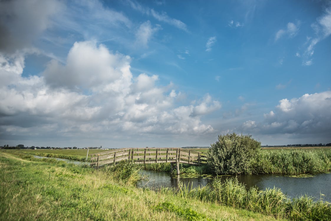 Foto stok gratis agrikultura, awan, Belanda