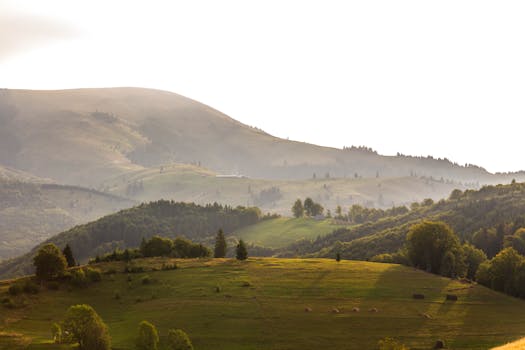 清晨宁静，薄雾缭绕的山丘与郁郁葱葱的森林在宁静的风景中