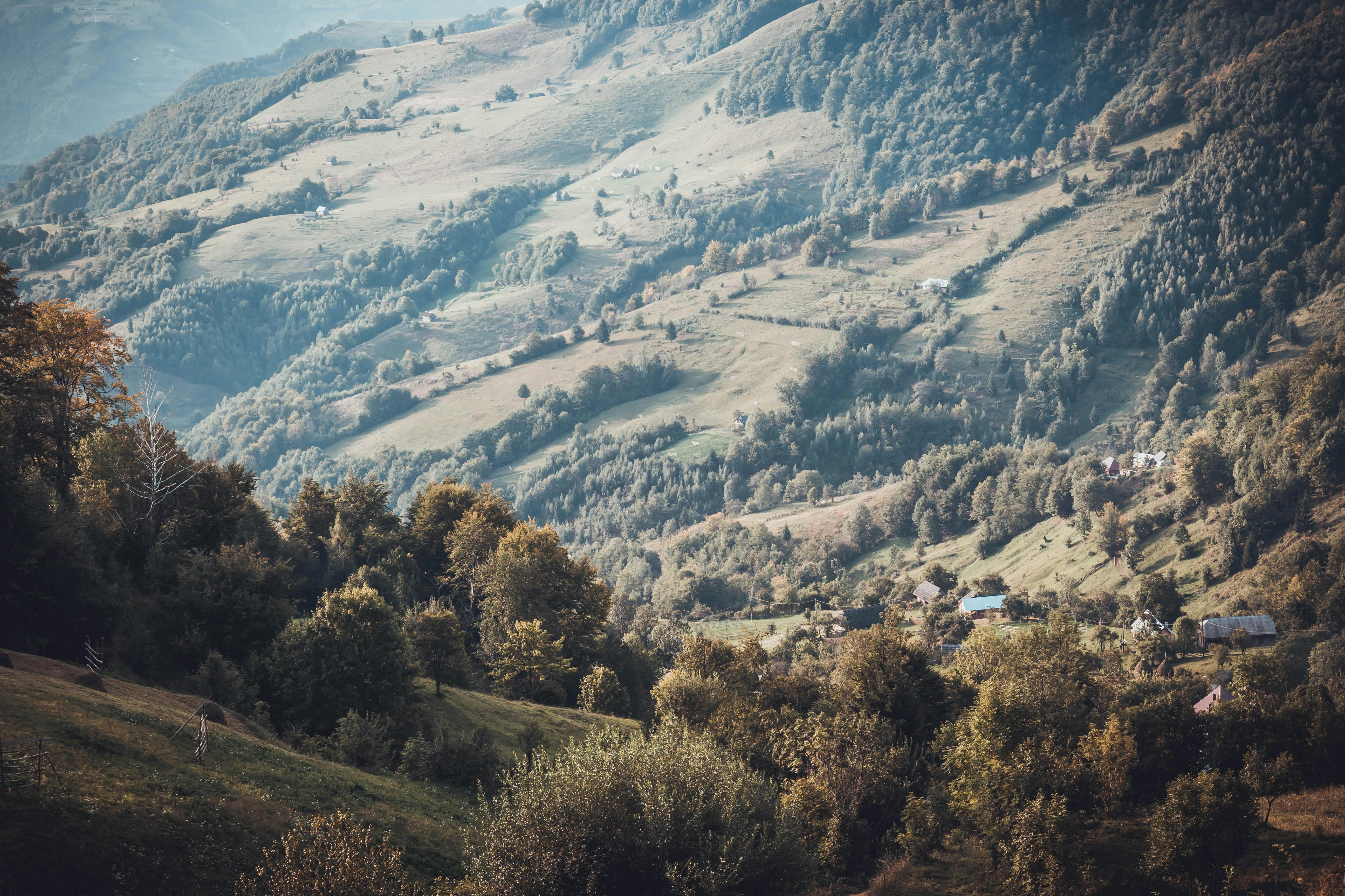 白天，连绵起伏的山丘和零散的房屋点缀着美丽的山地景观