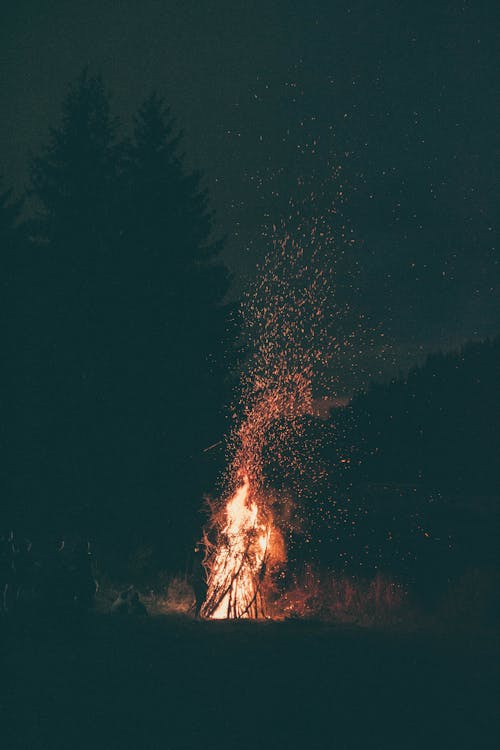 bezplatná Základová fotografie zdarma na téma noc, noční les, oheň Základová fotografie