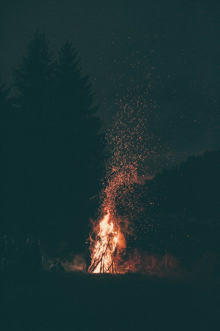 People Gathered Beside Bonfire