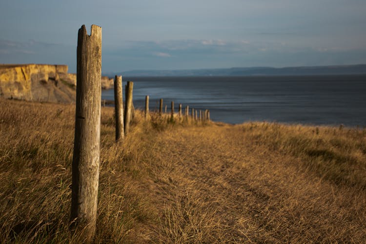 Wooden Posts On A Grassy Field