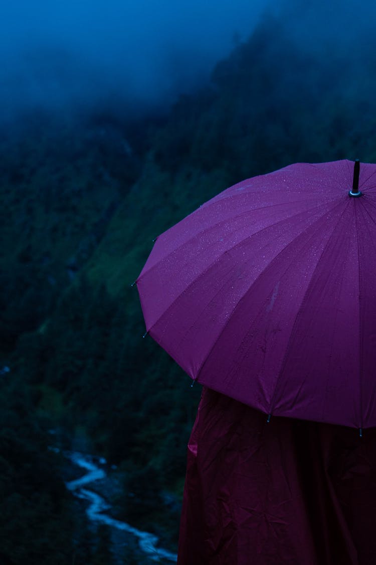 Person Using A Purple Umbrella