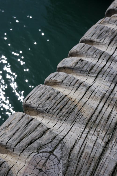 Close-Up Shot of a Wood