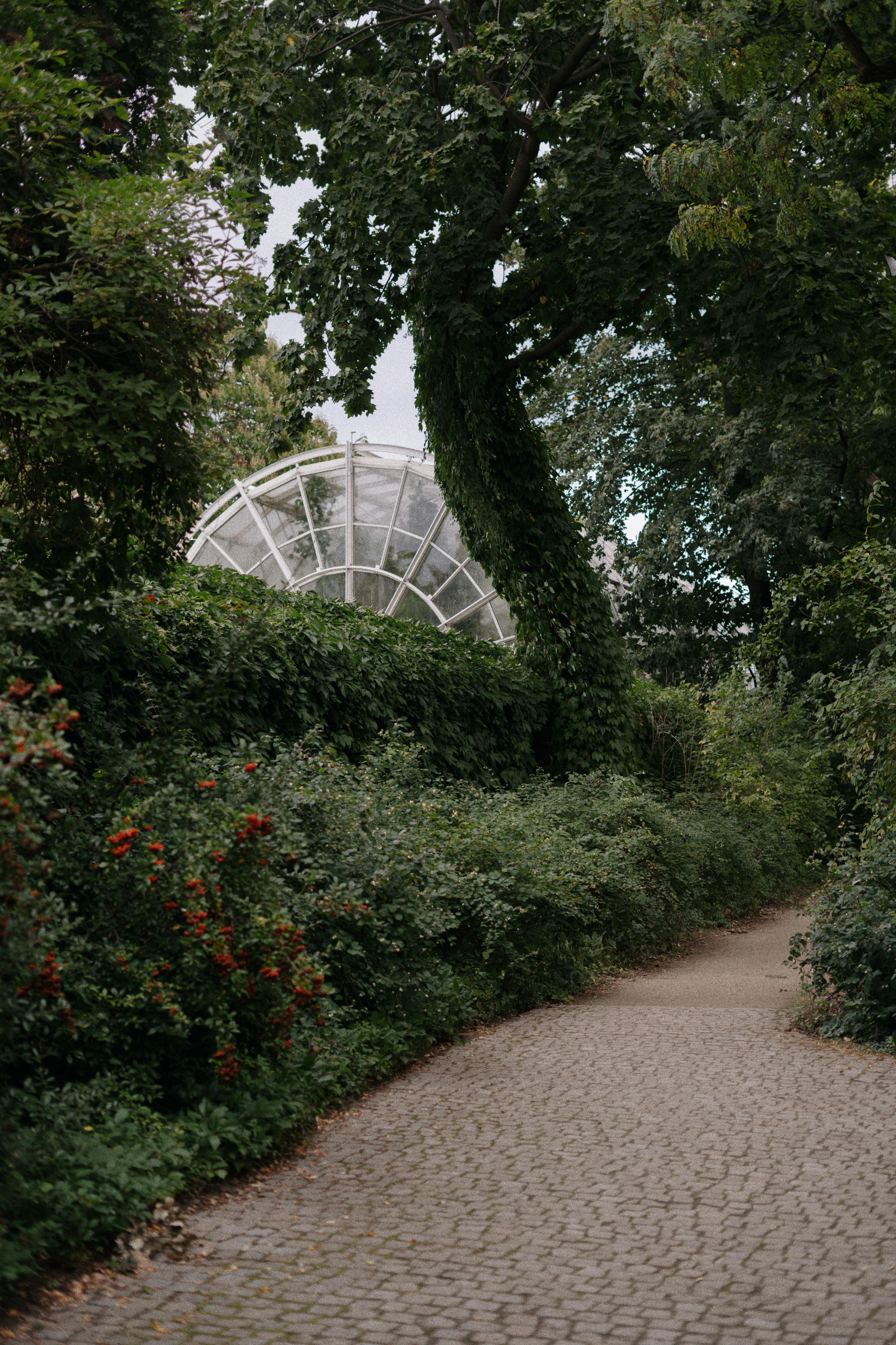 A serene garden walkway with green foliage leading to a glass dome under a cloudy sky.