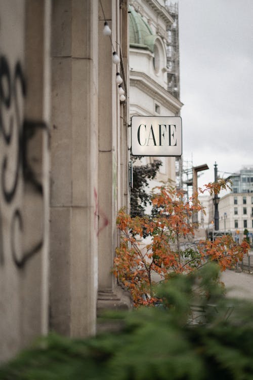 A Signage on the White Wall Near Hanging Bulbs