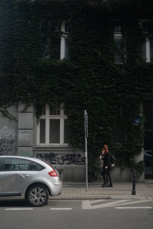 People Walking on the Sidewalk Near a Building with Climbing Plants