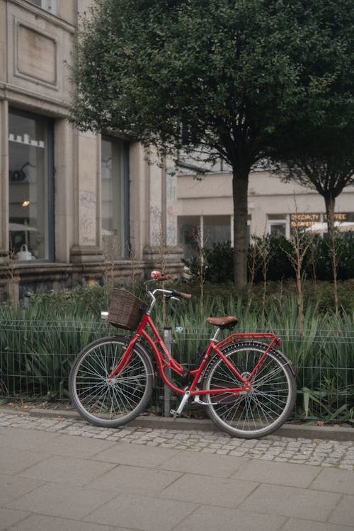 Imagine de stoc gratuită din bicicletă, caldarâm, fotografiere verticală