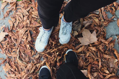 Two People Standing on Fallen Leaves