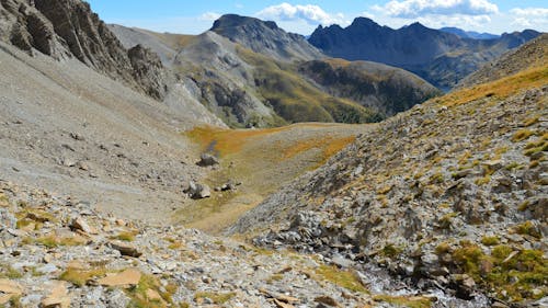 경치, 들판, 로키산맥의 무료 스톡 사진