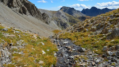 Immagine gratuita di arrampicarsi, escursione, esterno