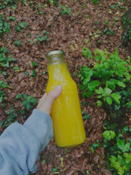 Бесплатное стоковое фото с апельсиновый сок, вертикальный выстрел, держать
