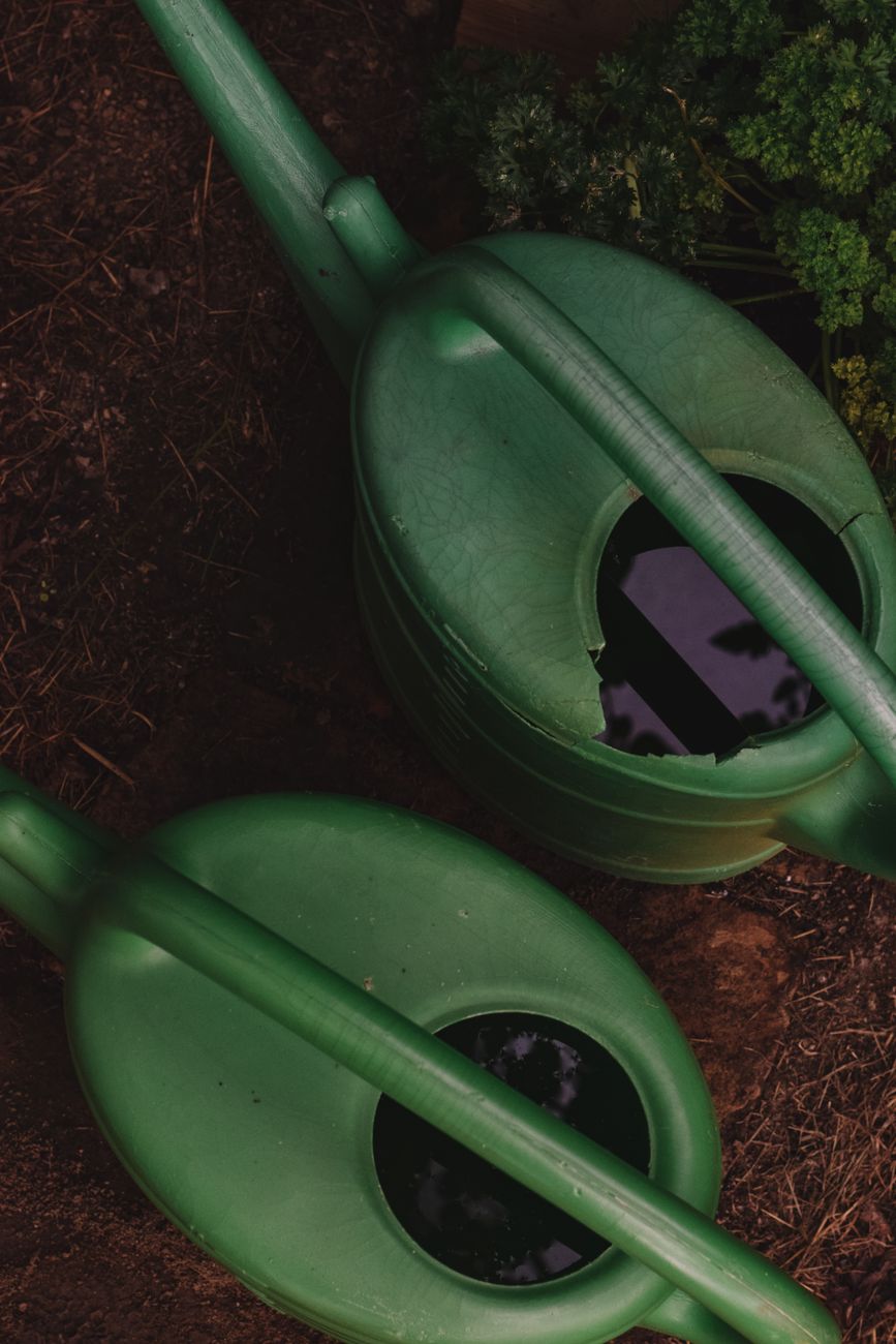 evenly moist garden soil watering can
