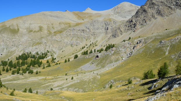 Breathtaking view of rugged mountains and scattered conifer trees in a serene alpine valley.