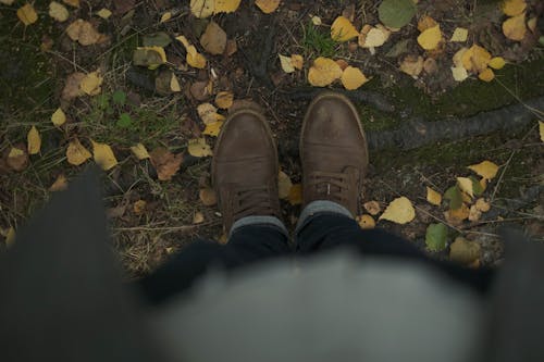 Legs of Person Standing on Ground in Autumn