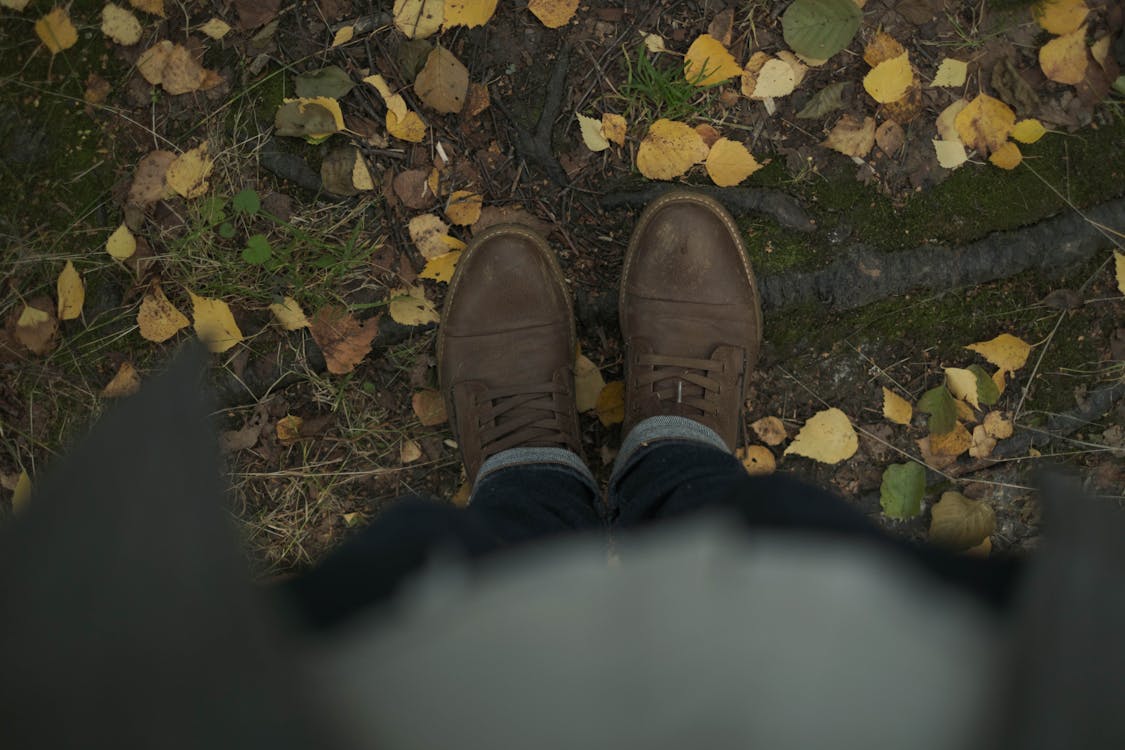 Legs of Person Standing on Ground in Autumn