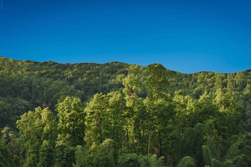 Free stock photo of afforestation, aforestation, clear sky with green forest Stock Photo