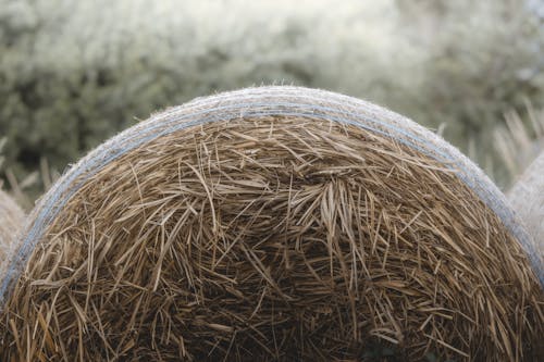 Close-up of Hay Bale in Field