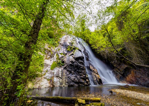 Foto stok gratis air terjun, alam, hijau