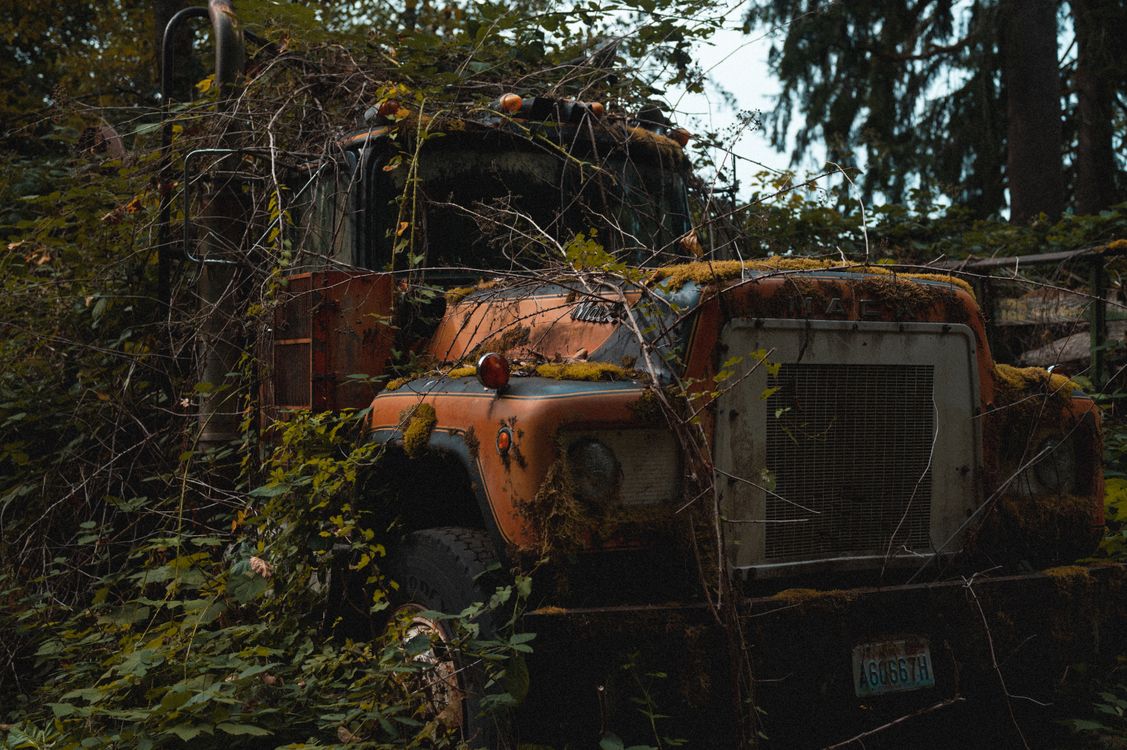 Photo of an Abandoned Truck in the Forest · Free Stock Photo