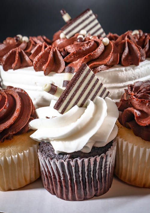 Free Decorated Chocolate Cupcakes  Stock Photo