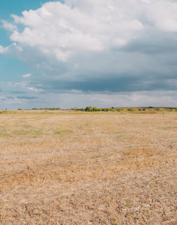 Grass Field Under Cloudy Sky