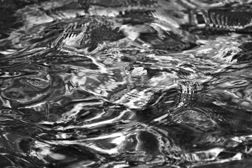 Grayscale Photo of Water