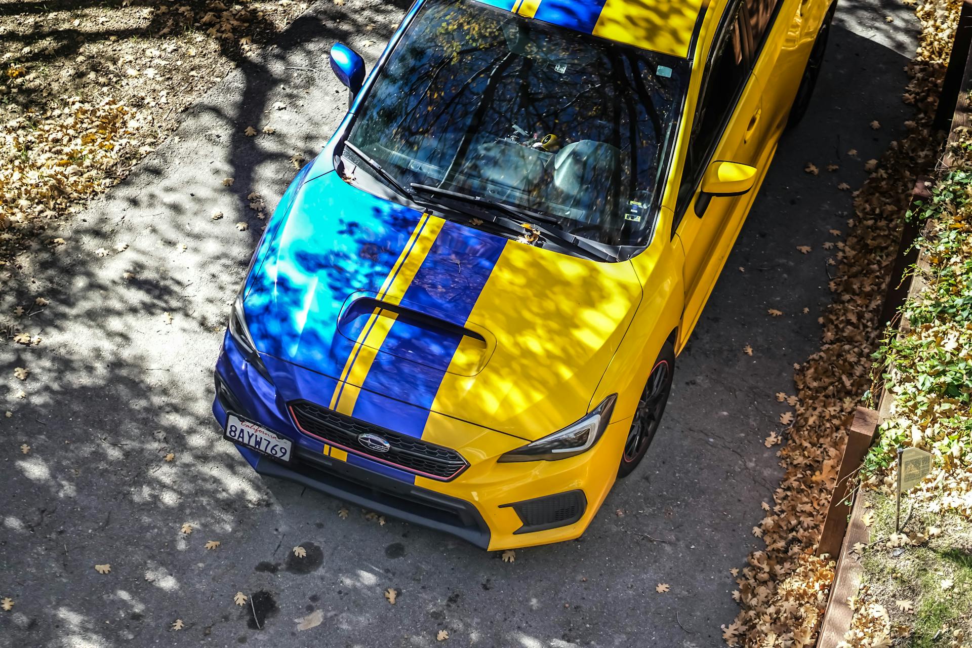 A vibrant blue and yellow Subaru WRX STI car parked in a leafy outdoor setting.