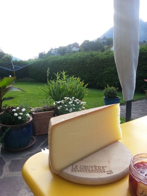 Free stock photo of cheese, farm produce, gruyere cheese Stock Photo