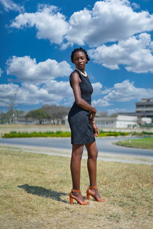 Kostenloses Stock Foto zu afroamerikaner-frau, blauer himmel, blaues kleid