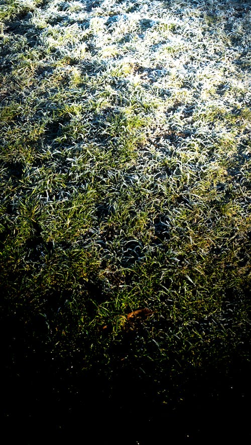 Munnar Tea Estates tour package India