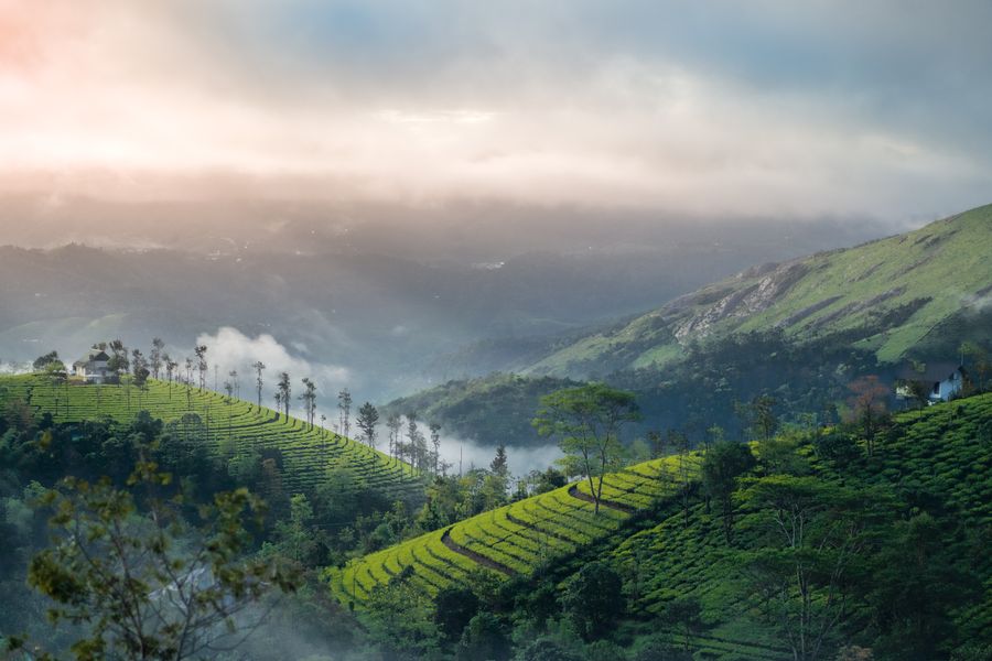 Wayanad photo 7