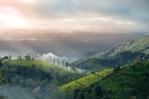 Foggy Sunrise over the green mountain in kerala